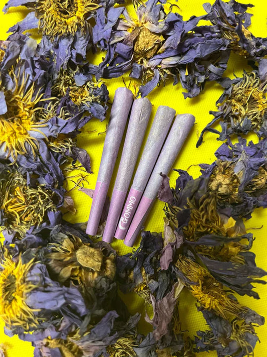 Blue Lotus Nymphaea Caerulea Pre-Rolls